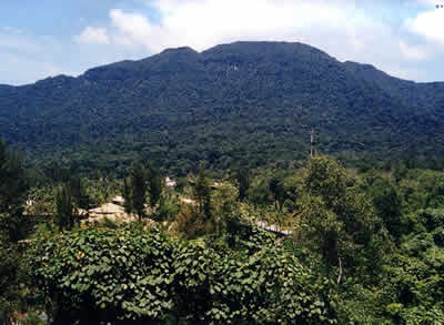 Right view from the balcony